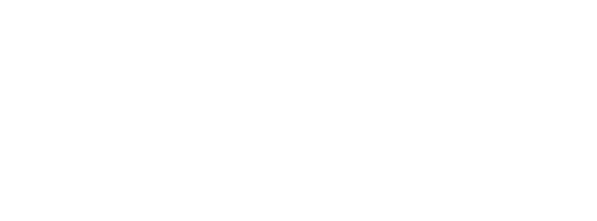 Arqui300