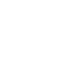 Private Cars & Drivers