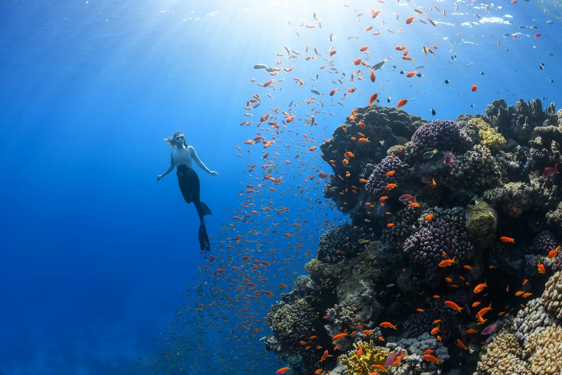 neom-unsplash.jpg